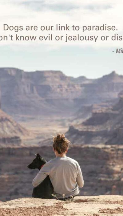 Dogs Are Our Link to Paradise. They Don’t Know Evil or Jealousy or Discontent