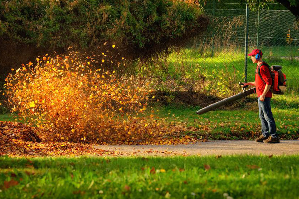 Planning on buying a leaf blower? Here’s what you need to know